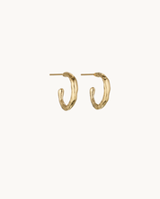 Cara Hoops