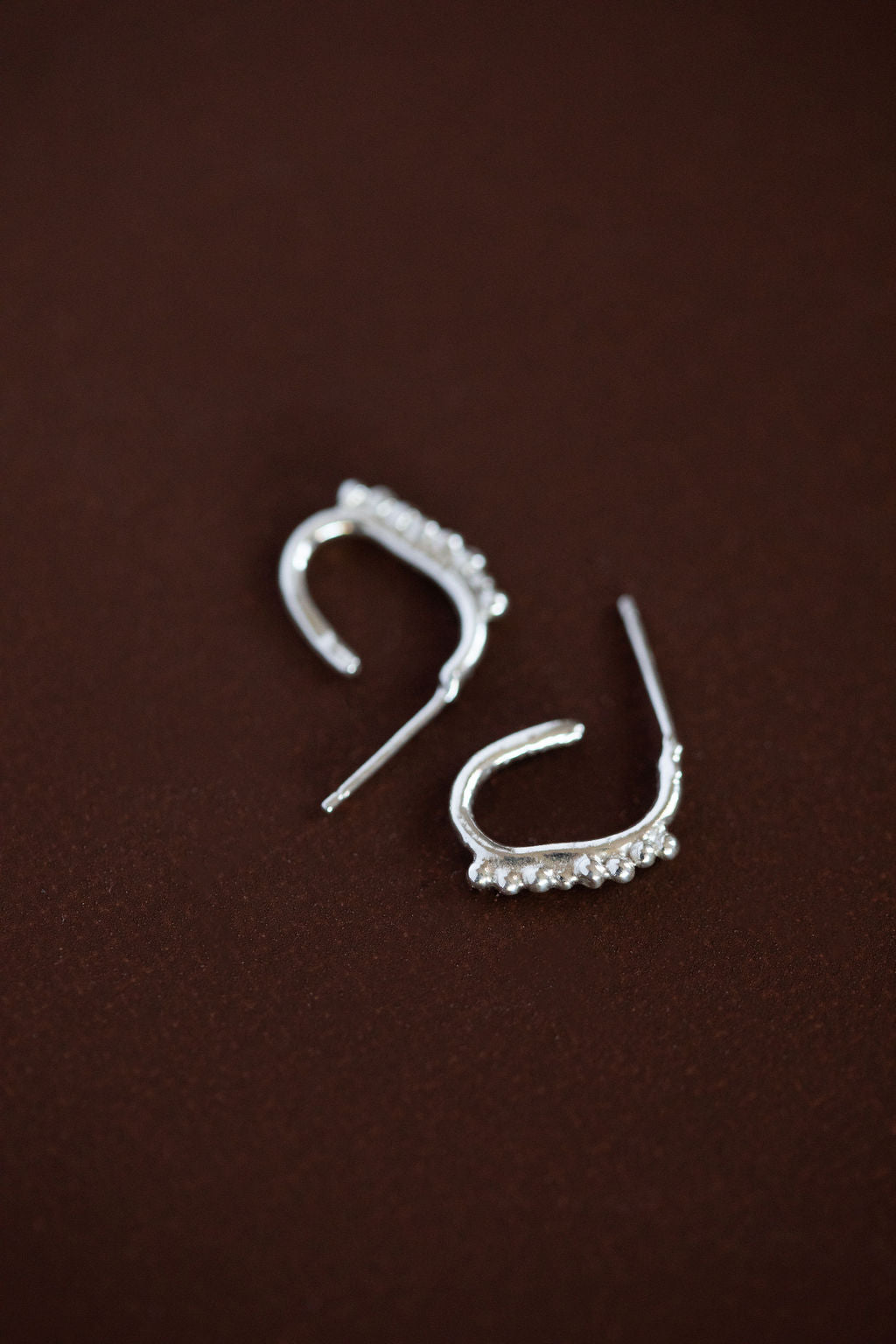 Evie Hoops