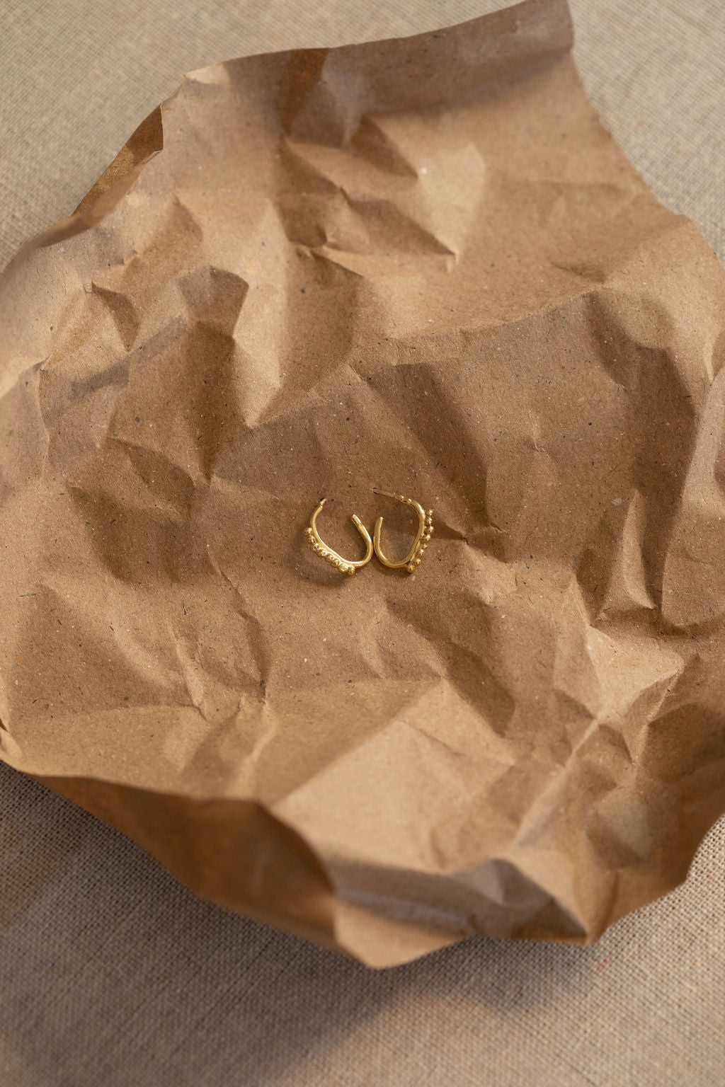 Evie Hoops